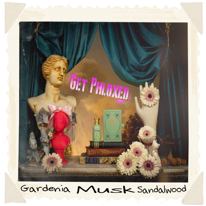 Get Phloxed