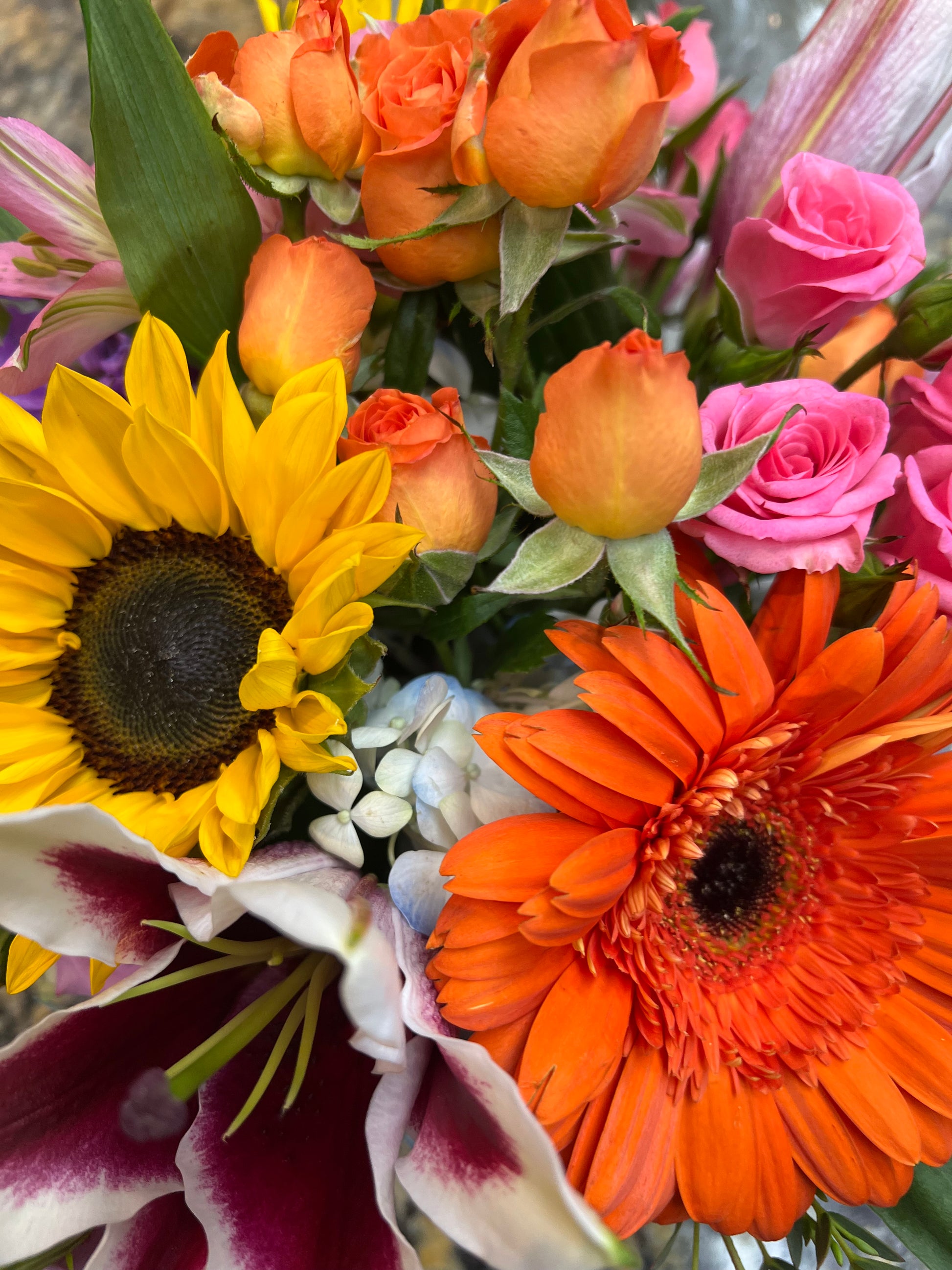 Designer's Choice - Bright & Cheerful - Lake Oswego Flowers