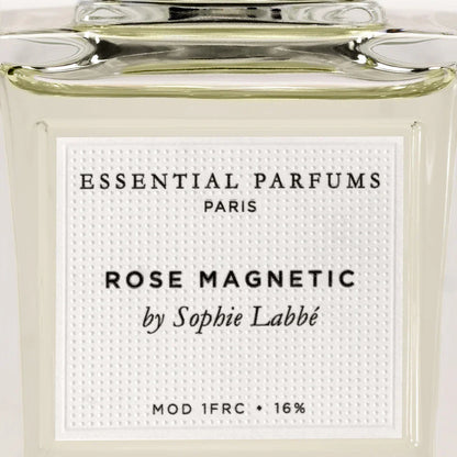 Rose Magnetic - Lake Oswego Flowers