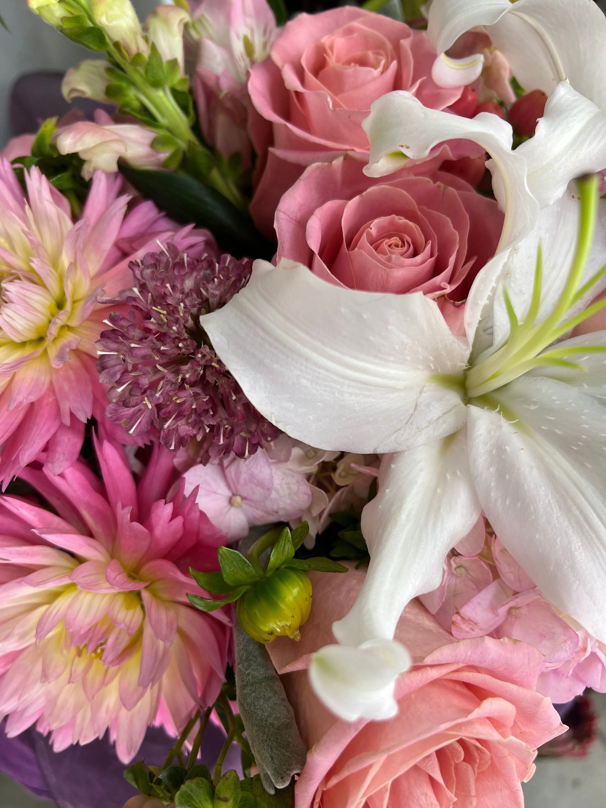 Aphrodite-Lake Oswego Flowers