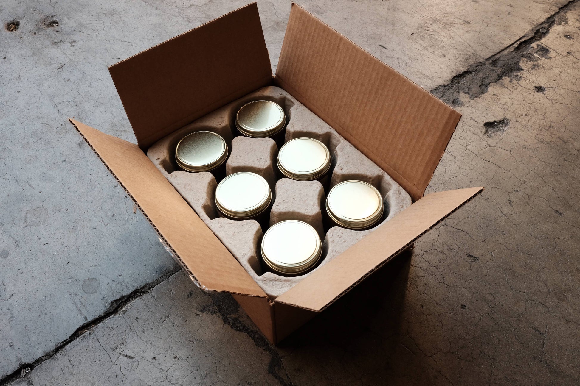 Black Fig - 7.2 oz Standard Soy Candle - Lake Oswego Flowers