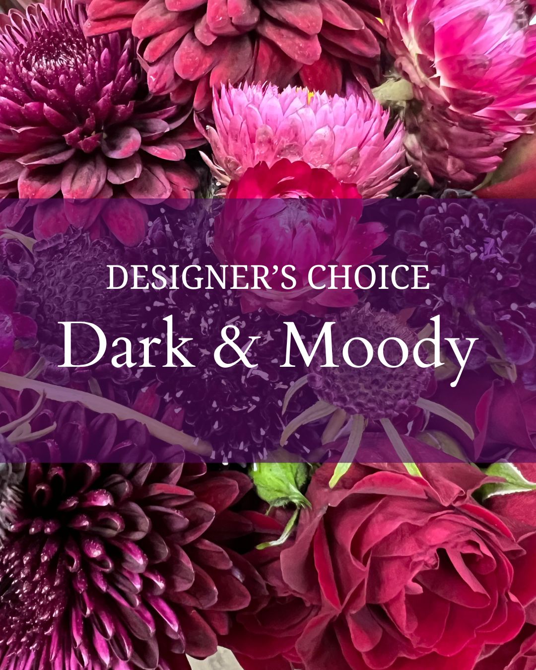 Designer's Choice - Dark & Moody - Lake Oswego Flowers