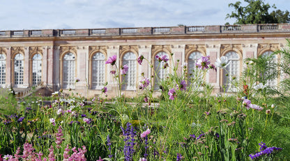 Le Jardinier